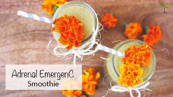 Adrenal EmergenC Smoothie Recipe
