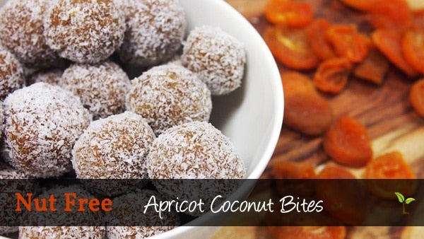 Apricot + Coconut Bites