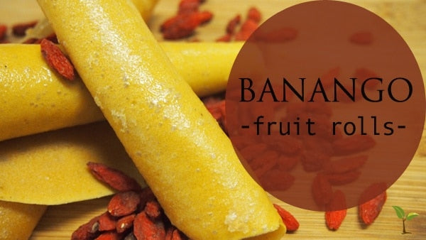 Banango Fruit Leathers