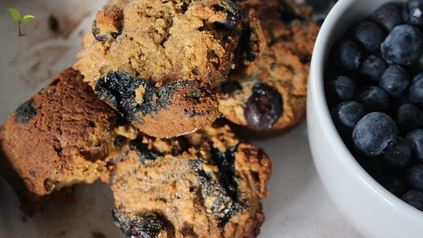 Vegan & Gluten-Free Protein HIT Blueberry Muffin Recipe