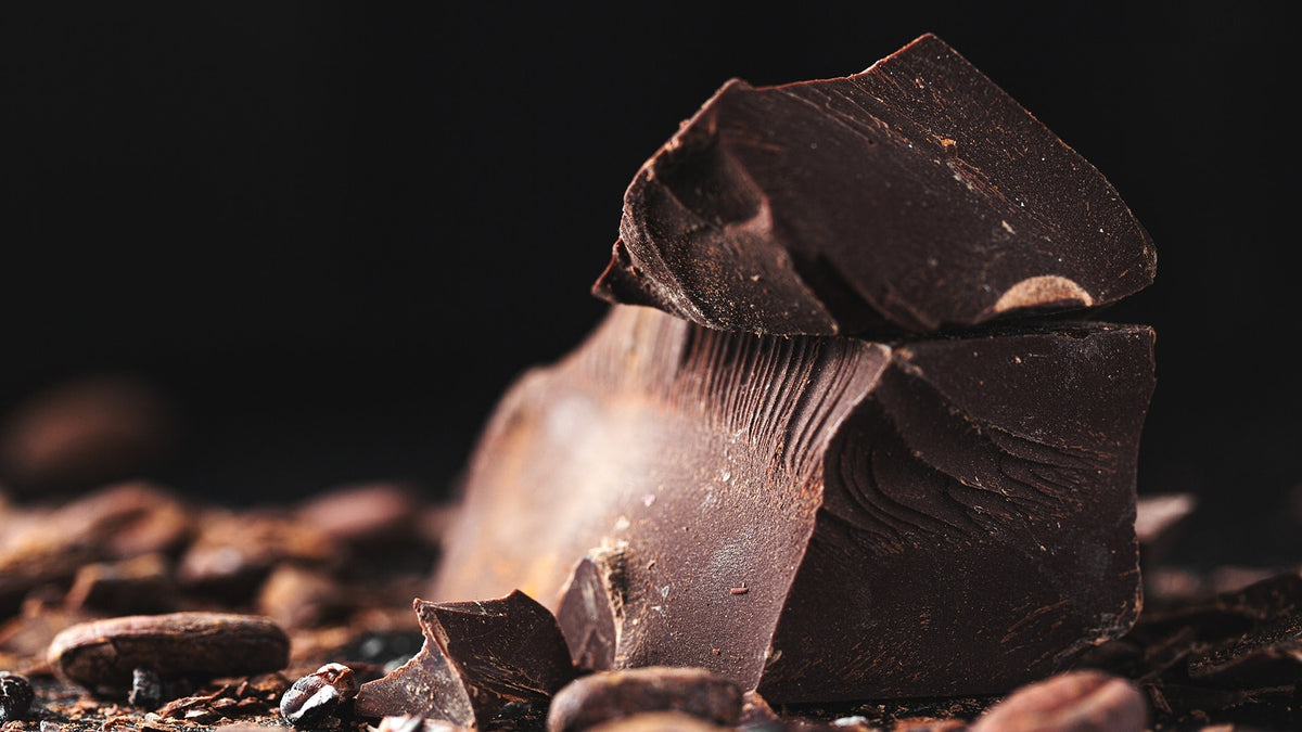 Raw Cacao Nut Bar
