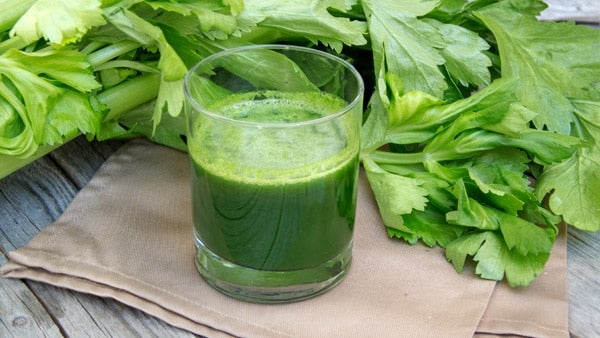 Gut Health Benefits of Pure Celery Juice