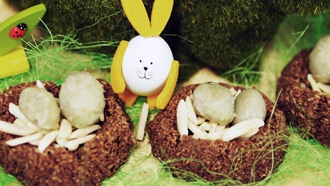 Chick Nests with “Eggs”