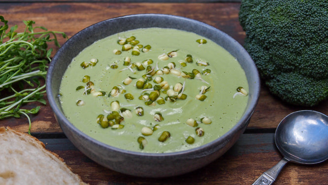Creamy Broccoli Soup