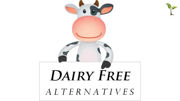 Dairy – Free Food Swaps