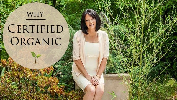 Monthly Guest Blog:  Therese Kerr