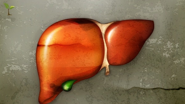 Live to love your liver