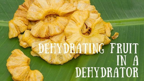 Dehydrating Fruit In A Dehydrator