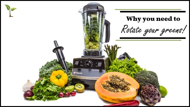 Should I be rotating my Leafy Greens?