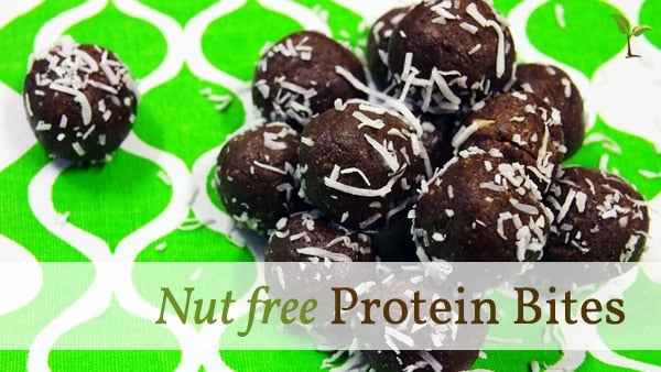 Nut Free Protein Bites