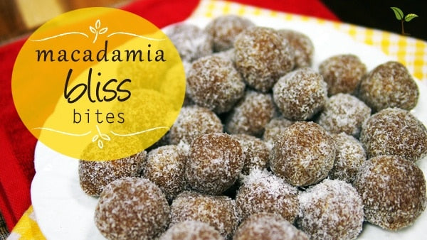 Macadamia Bliss Bites