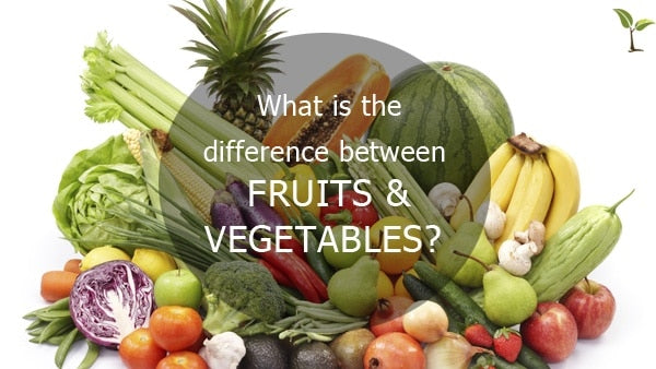 What is the difference between fruits and vegetables?