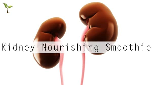 Kidney Nourishing Smoothie