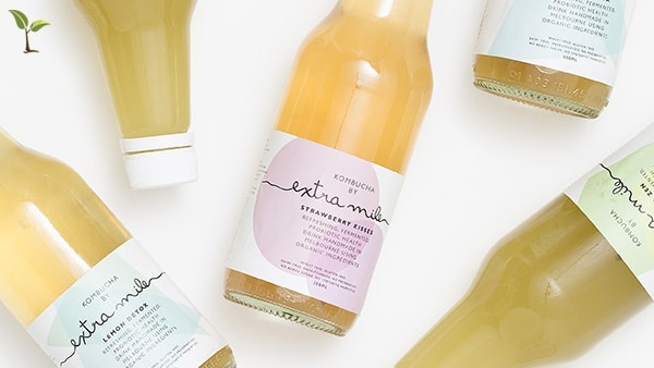 Monthly Guest Blog – Audrey ScharfKOMBUCHA by Extra Mile Health