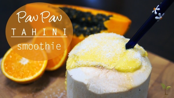 Paw Paw and Tahini Smoothie