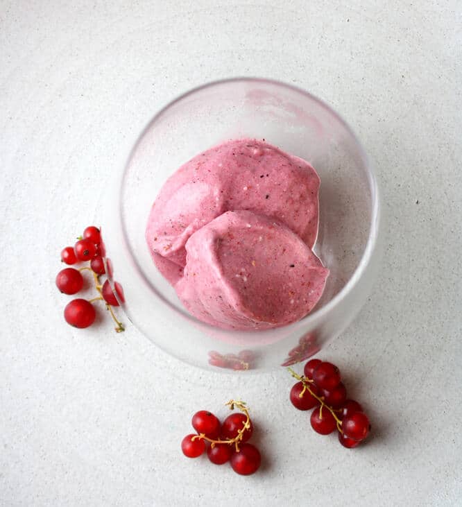 Vegan Ice Cream