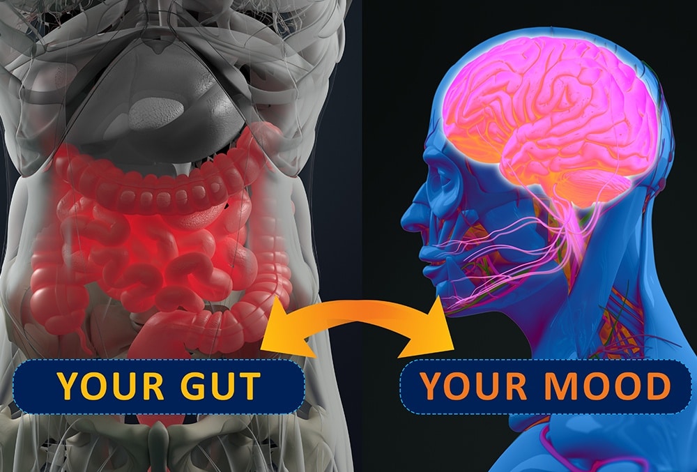 Gut Health