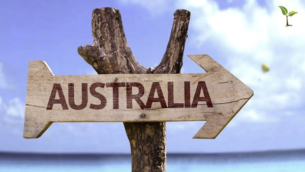 An Aussie Icon with a Raw Blend Twist!