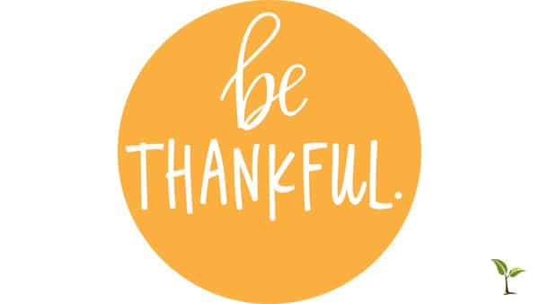 Gratitude.