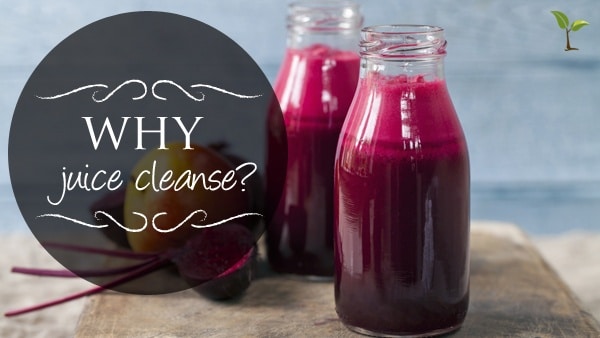 Why a Juice Cleanse?
