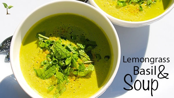 Basil & Lemongrass Soup Recipe