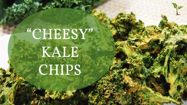 How to make Cheesy Kale Chips
