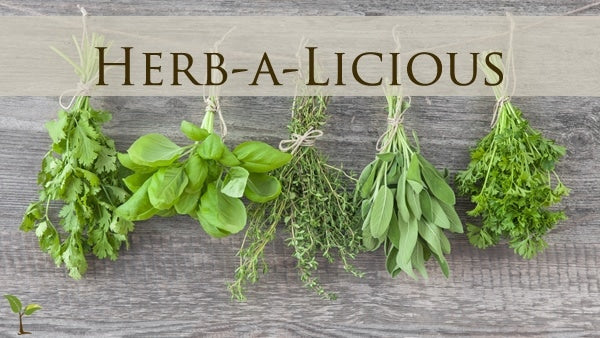 Herb-a-licious