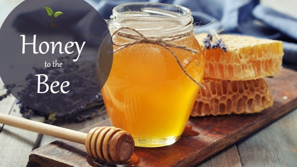 Honey to the Bee