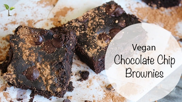 Double Chocolate, Double Delicious Vegan Chocolate Chip Brownie Recipe
