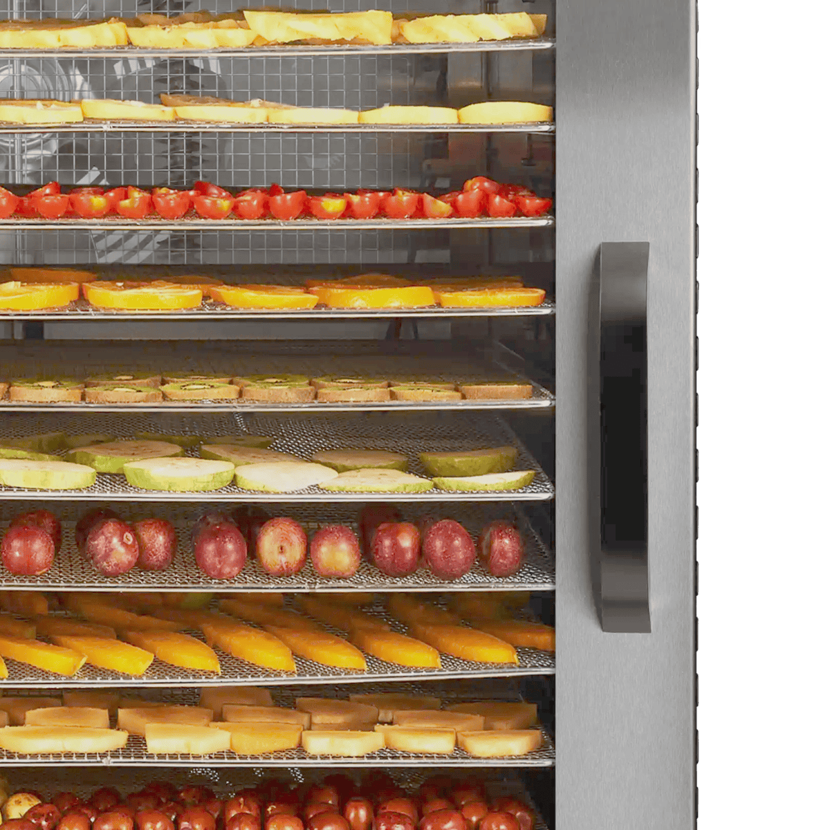BenchFoods 16 Tray Commercial Food Dehydrator