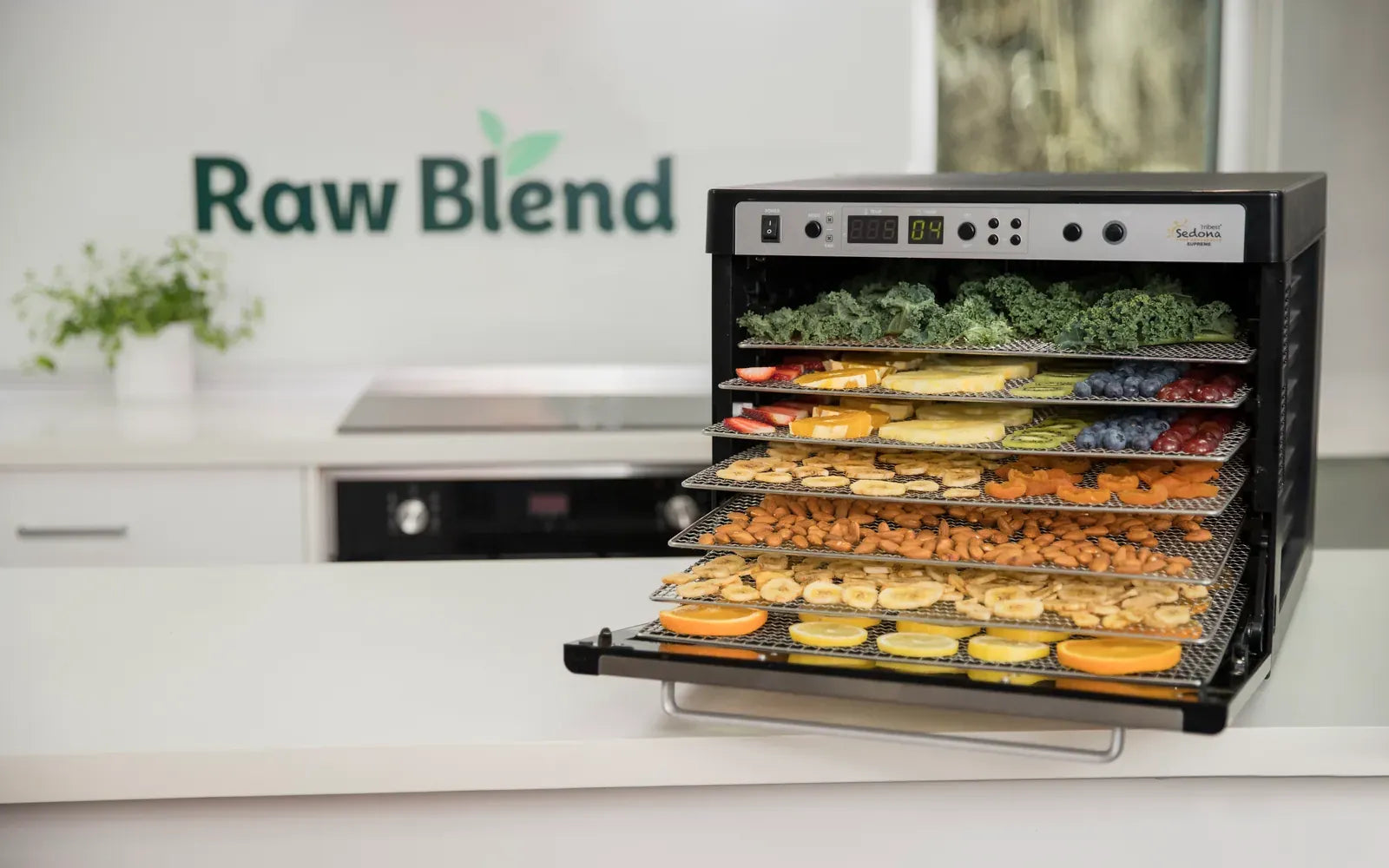 A Sedona Supreme dehydrator with its door open, its trays full of kale, fruit, almonds and citrus, in front of the Raw Blend kitchen wall