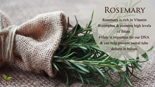 rosemary2