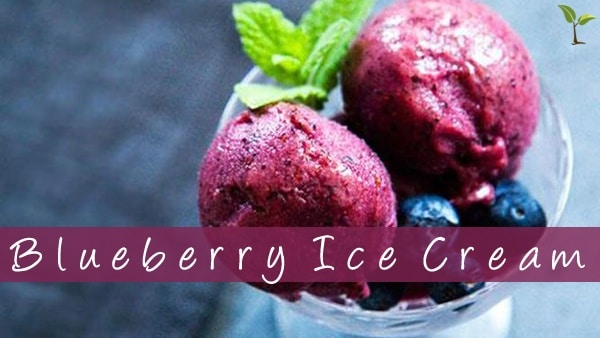 Blueberry Ice Cream1