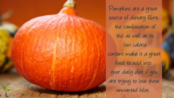 pumpkin fact 2