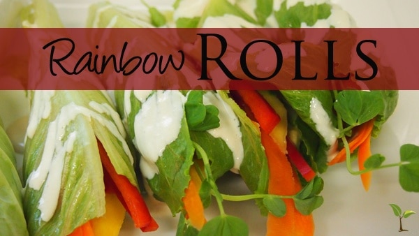 raw rainbow rools
