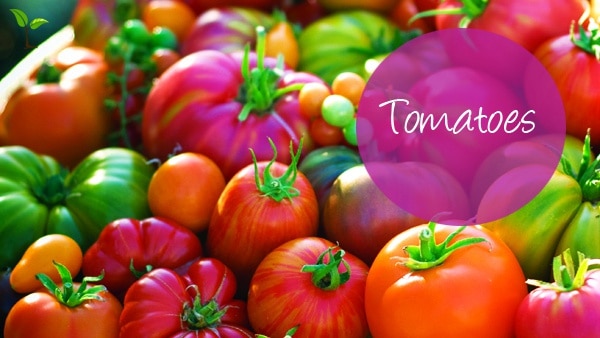 tomatoes imagejpg