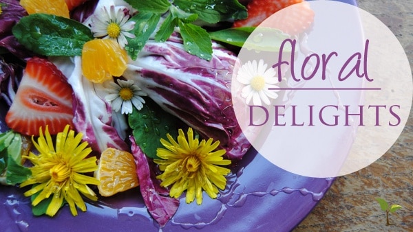 floral delights NEW